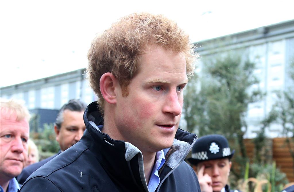 Prins Harry Viert 31e Verjaardag Vorsten