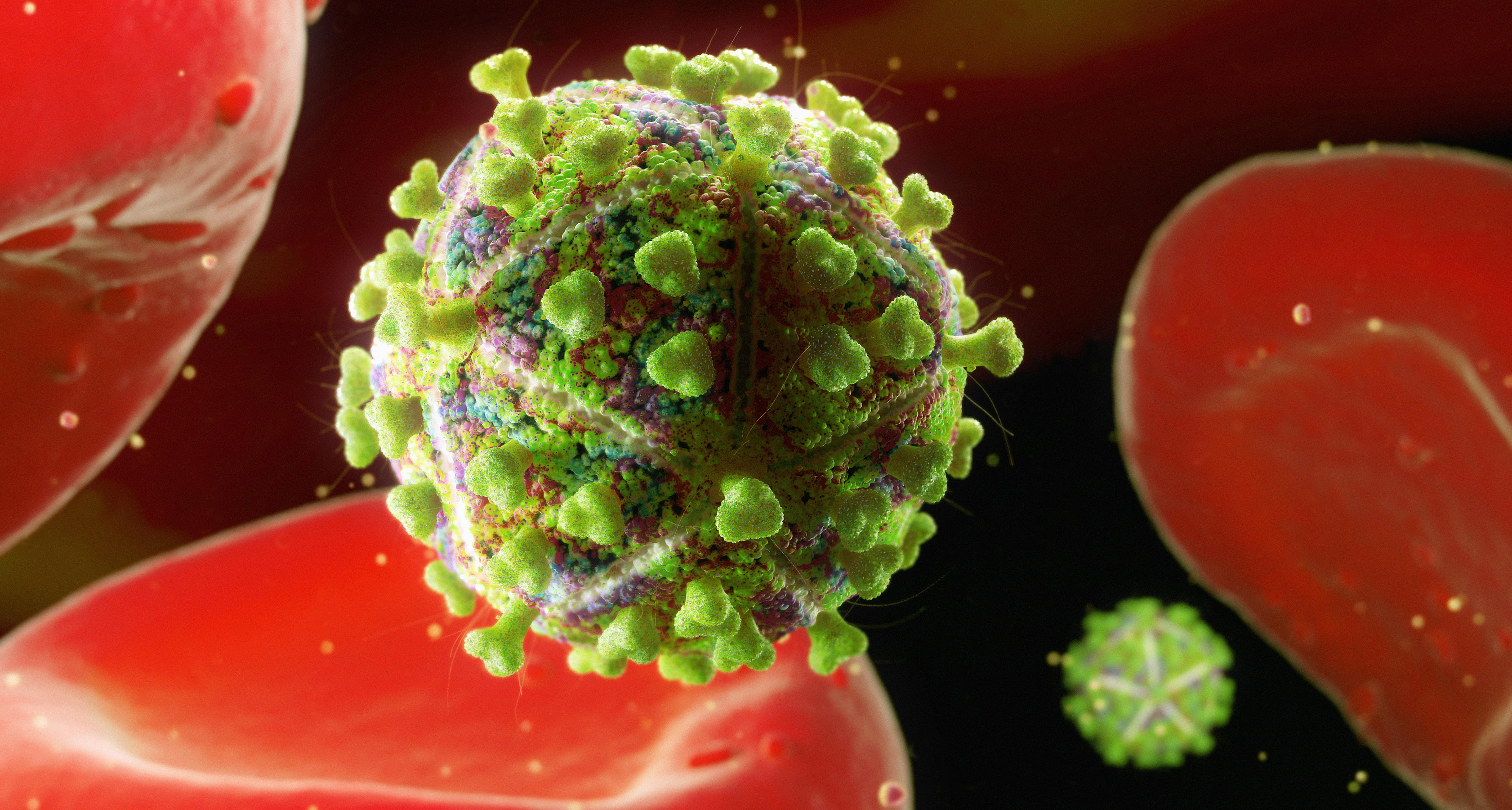 Human immunodeficiency virus. СПИД бактерия. Вирус СПИДА. ВИЧ фото вируса.