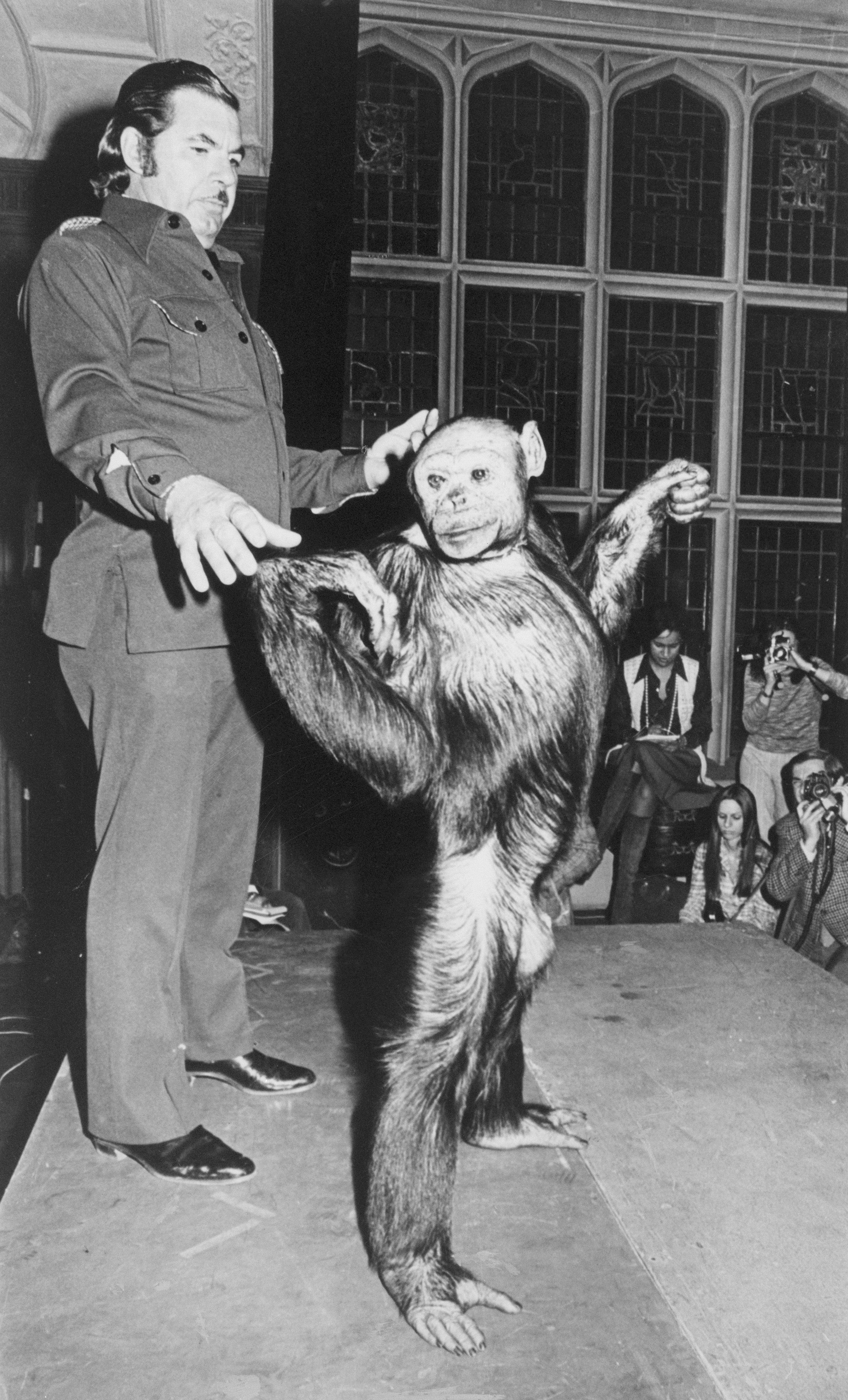 Скрещивание людей дети. Оливер-гибрид человека и шимпанзе. Оливер обезьяна человекообразная.