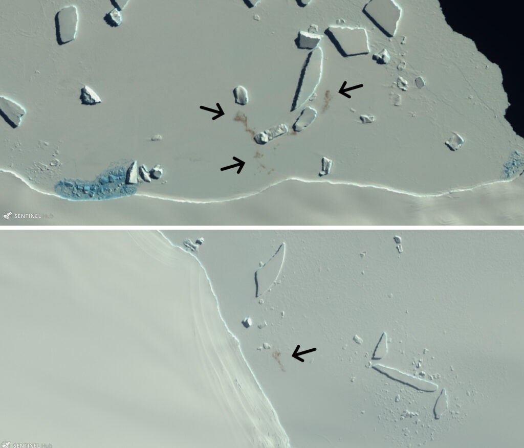 Sentinel-2 keizerpinguinkolonies