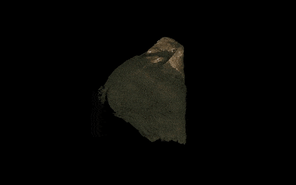 Mummiekat 3d-scan rontgenfoto