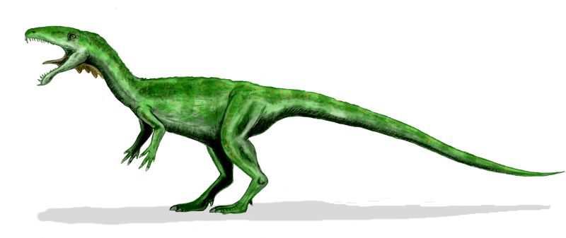 Masiakasaurus reconstructie