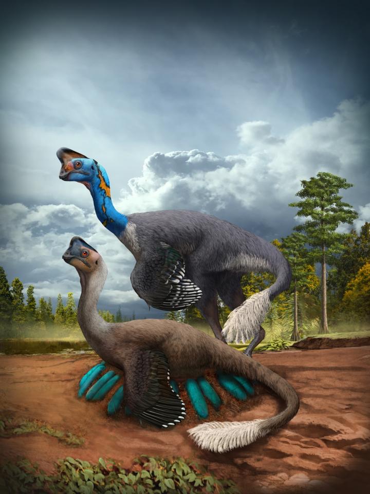 oviraptor fossiel